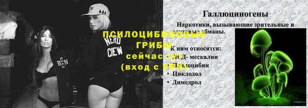 ГАЛЛЮЦИНОГЕННЫЕ ГРИБЫ Красноперекопск