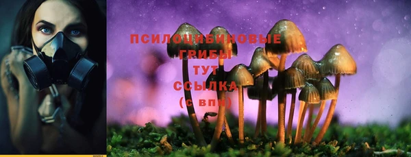 ГАЛЛЮЦИНОГЕННЫЕ ГРИБЫ Красноперекопск
