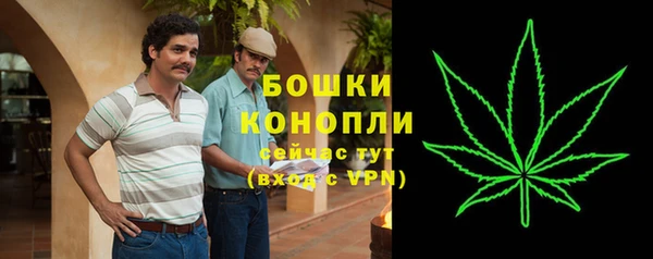 ГАЛЛЮЦИНОГЕННЫЕ ГРИБЫ Красноперекопск