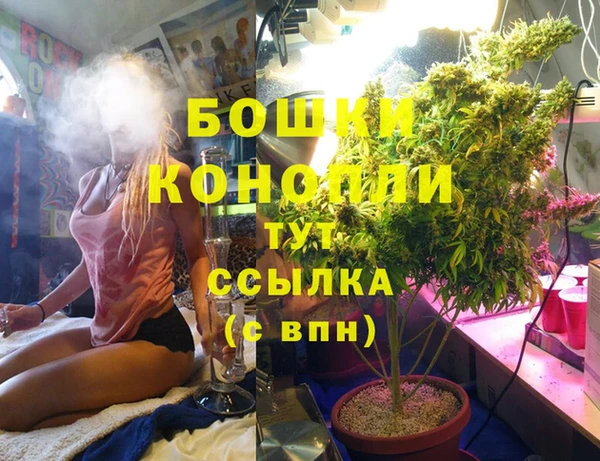 ГАЛЛЮЦИНОГЕННЫЕ ГРИБЫ Красноперекопск