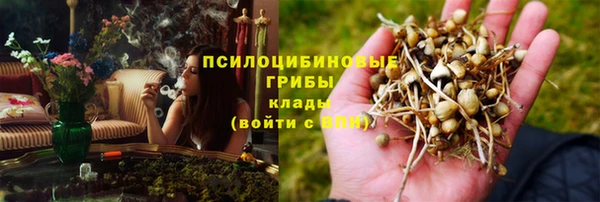 ГАЛЛЮЦИНОГЕННЫЕ ГРИБЫ Красноперекопск